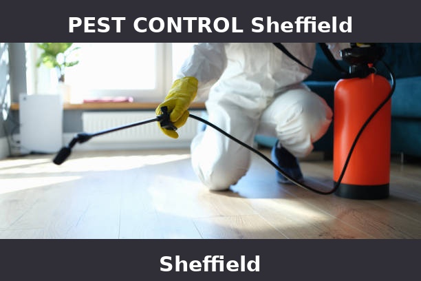 PEST CONTROL Sheffield